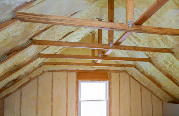 Best Insulation Installation Services in Albany, GA