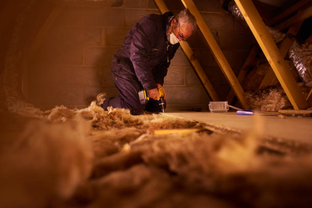 Best Types of Insulation in Albany, GA